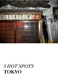 MlleLeK 5 Hot Spots in Tokyo