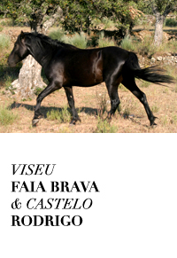 Viseu-Faia Brava-and-Castelo Rodrigo-by MlleLeK