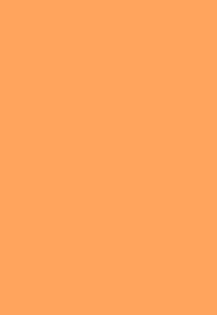 MlleK-Orange