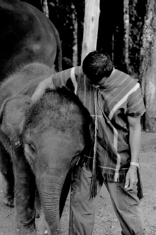 Elephant Hills-Thailand-1-Photo Mademoiselle Le K-copyright 2013