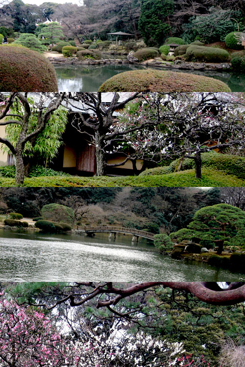 Tokyo-Japon-Shinjuku Gyoen National Garden-Photo Mademoiselle Le K-copyright 2014