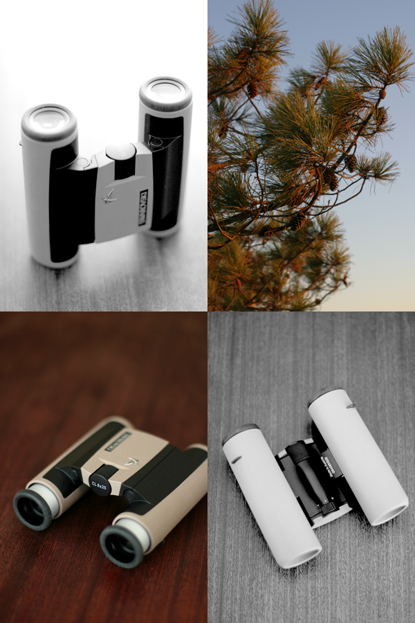 Swarovski Optik-Binoculars-CL Pocket-Photo ©Mademoiselle Le K-1