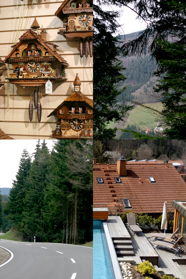 Germany-Bade-Wutemberg-Sharzwald-Black Forest-Fom Titisee To Hinterzarten-Photo ©Mademoiselle Le K