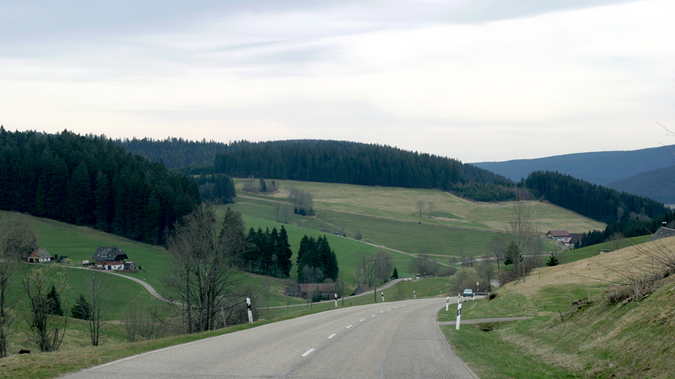 Germany-Bade-Wutemberg-Sharzwald-Black Forest-Road To Titisee-2-Photo ©Mademoiselle Le K