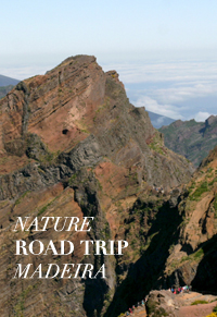 Madeira-Portugal-Nature-Road-Trip-by-Mademoiselle-Le-K