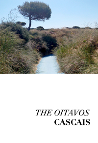 The-Oitavos-Cascais-by-MlleLeK