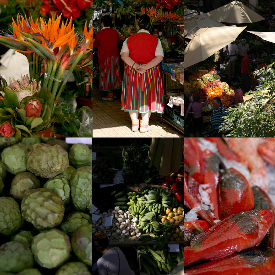Madeira-Portugal-Funchal-Mercado-dos-Lavradores-Market-Flowers-Fish-Food-1-Photo ©Mademoiselle Le K