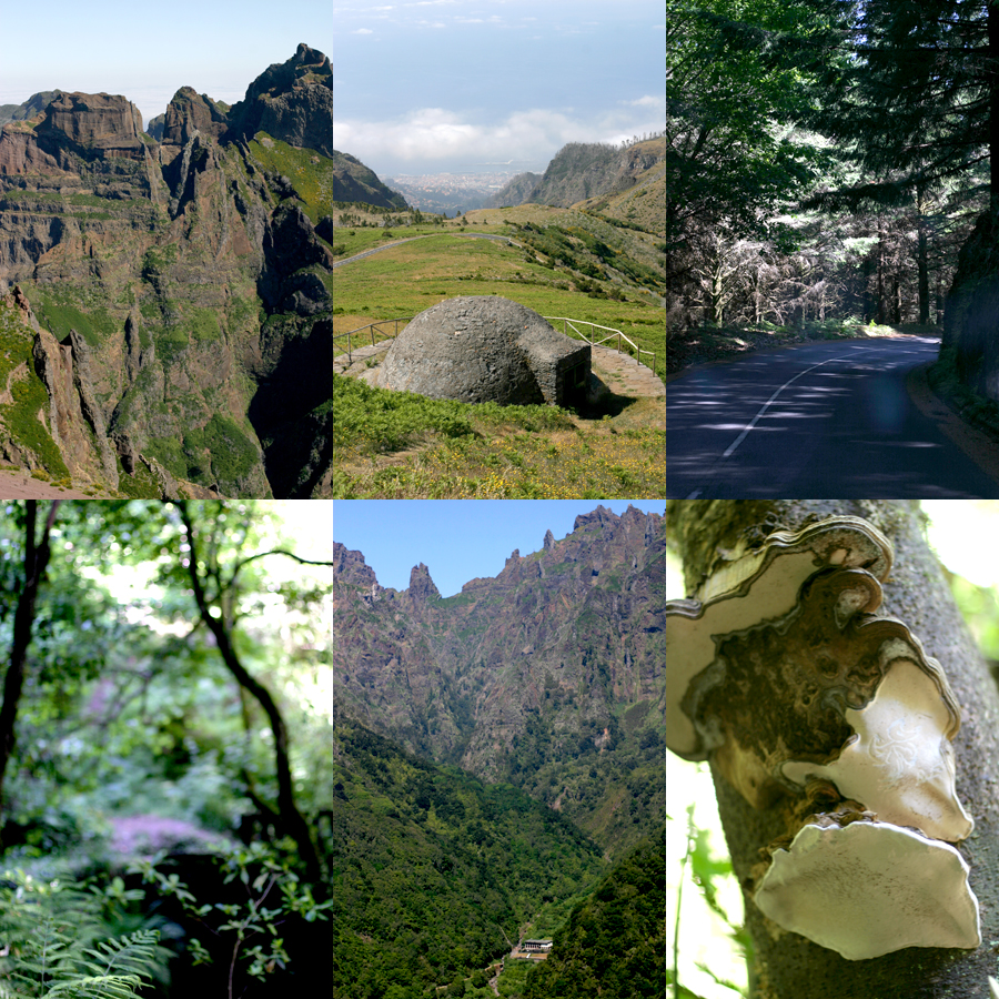 Madeira-Portugal-Pico do Areeiro-Ribeiro Frio-Laurisilva Forest-Jeep Tour-Photo ©Mademoiselle Le K
