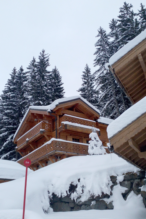 France-La-Tania-Ski-Resort-French-Alps-Alpine-Chalets-Photo ©Mademoiselle Le K
